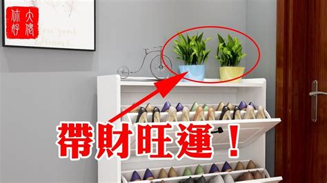 符咒符 鞋櫃上放植物